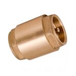 WP клапан обратный 1" ГГ (латунь) (WP300-25) (80)